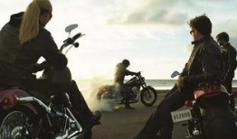 哈雷影院在线观看,在线观影新体验，畅享海量影视资源